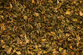 Menthe Poivrée