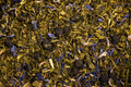 Vert aux Bleuets