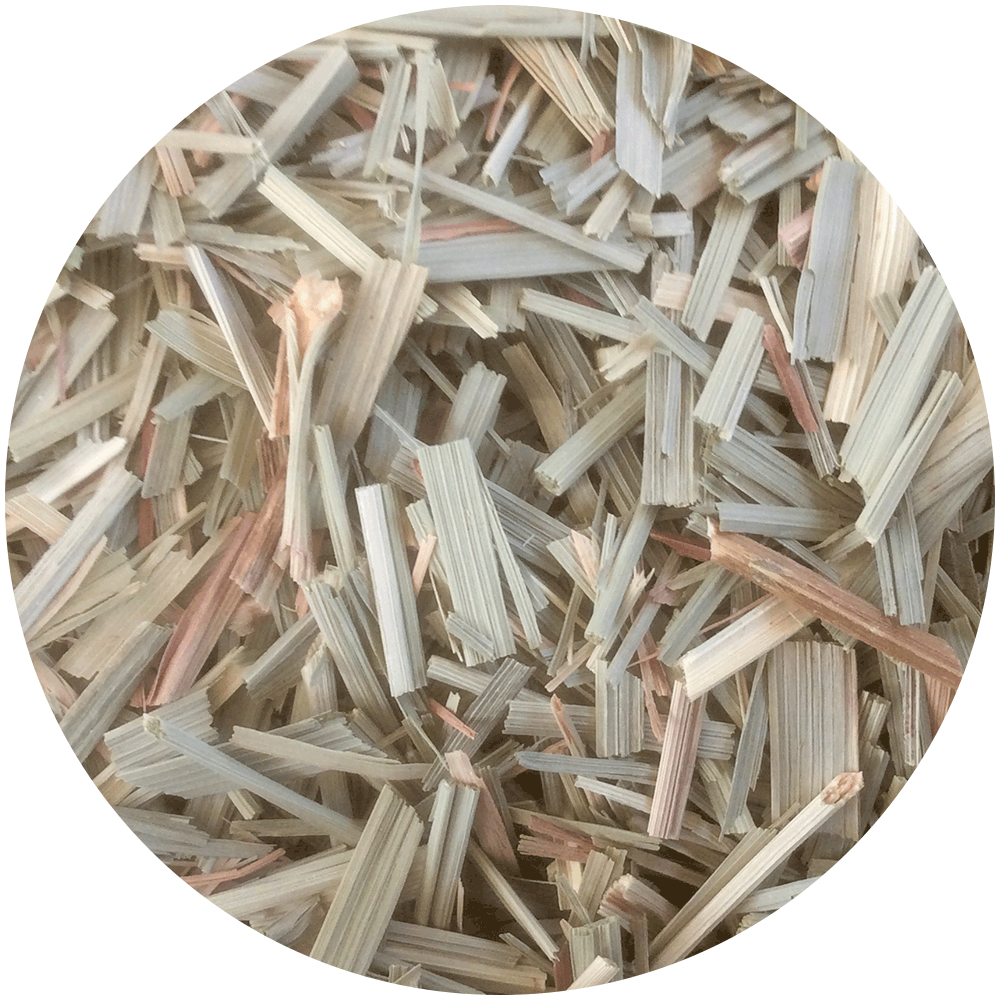 Citronnelle
