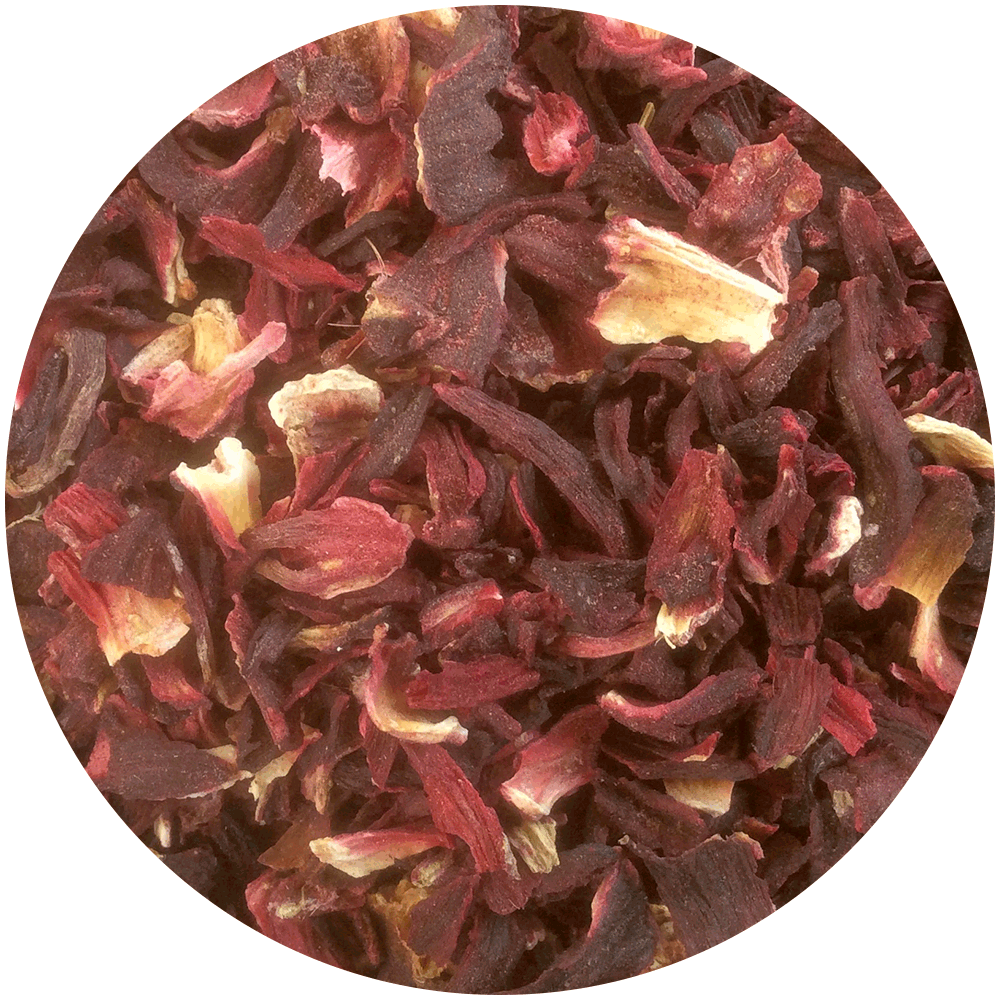 Hibiscus