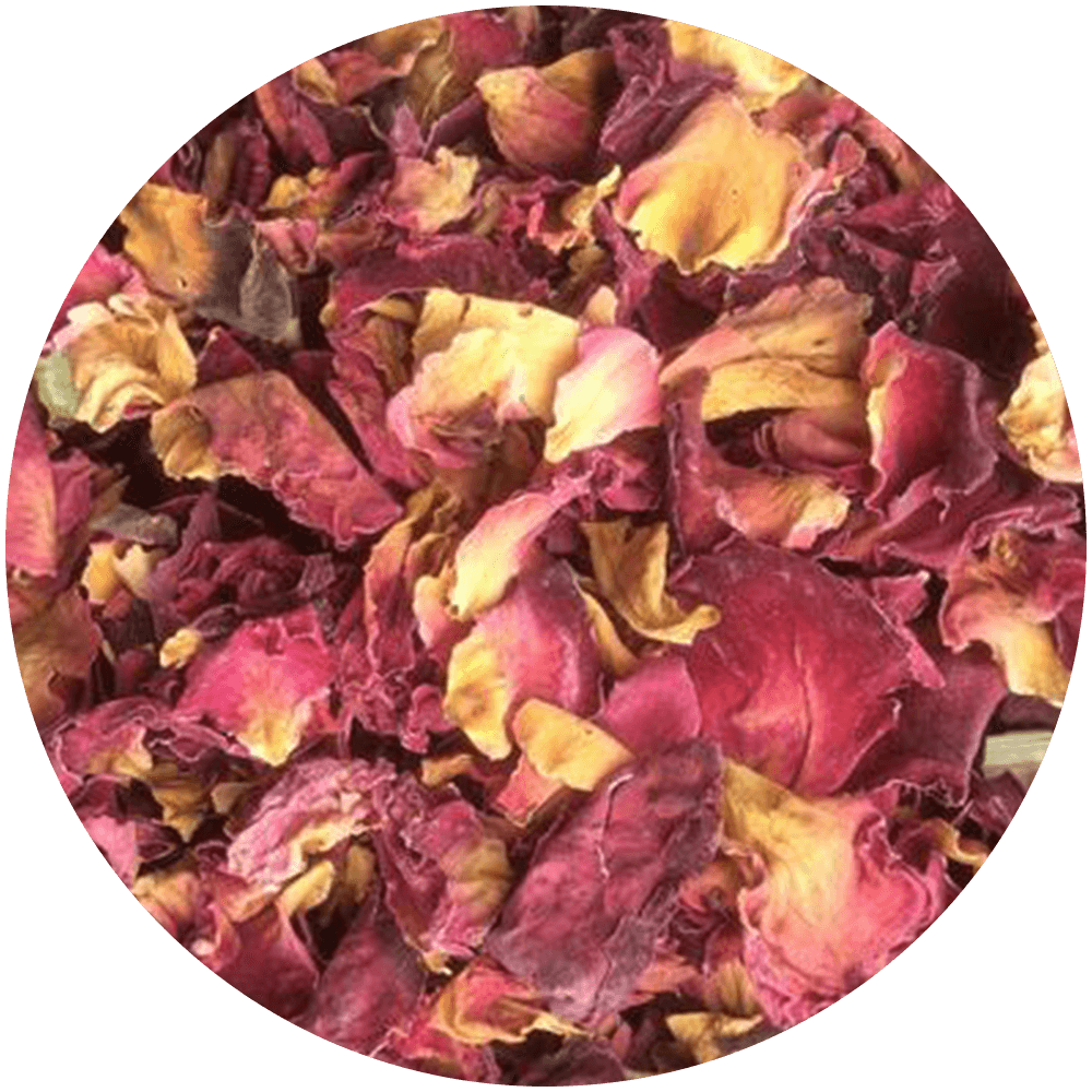 Pétales de rose
