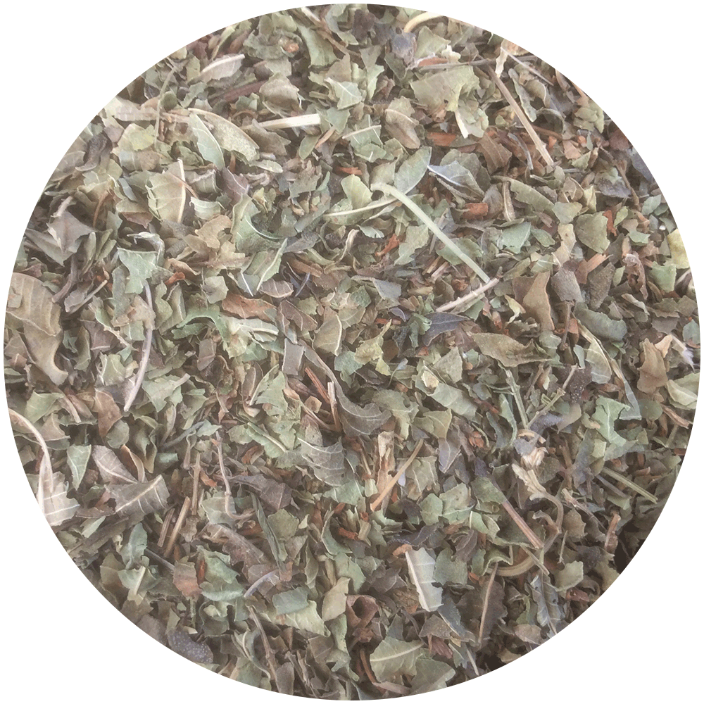 Verveine Citronnée